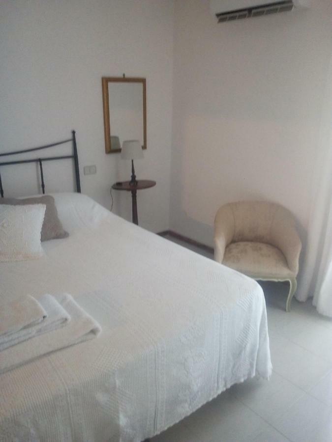 Center Comfy Mini Apartment 阿雷佐 外观 照片